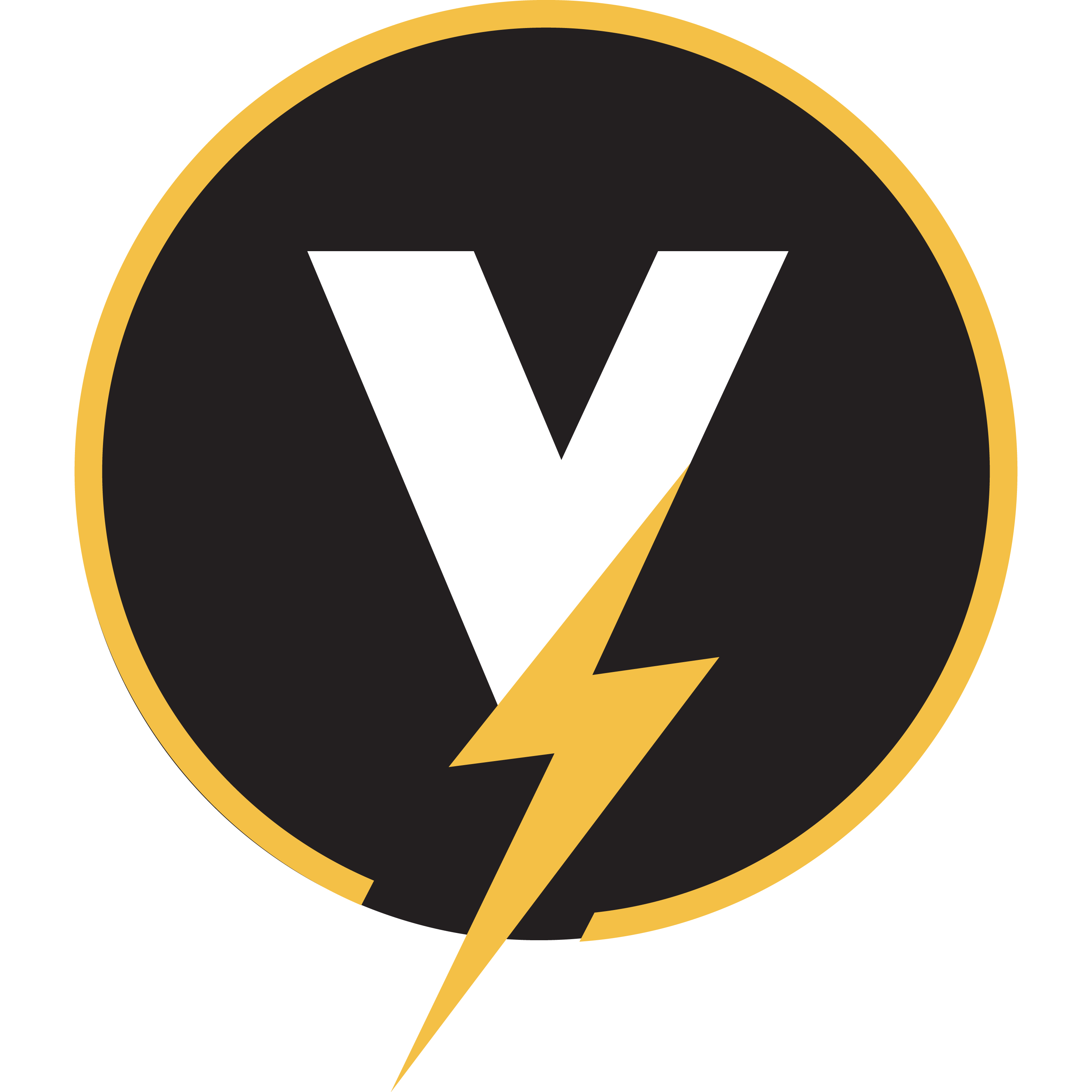 VIPLead